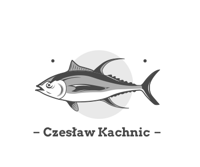 Komisja rewizyjna – Członek
